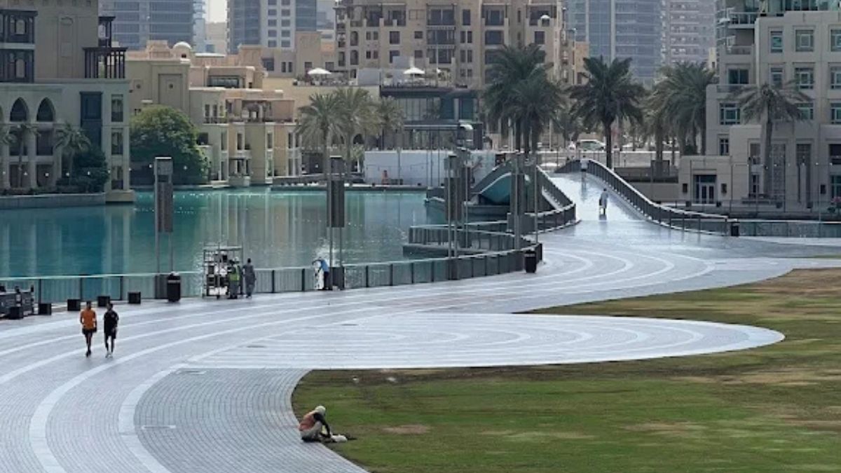 6 Best Pet-Friendly Parks in Dubai For Your Furry Friends