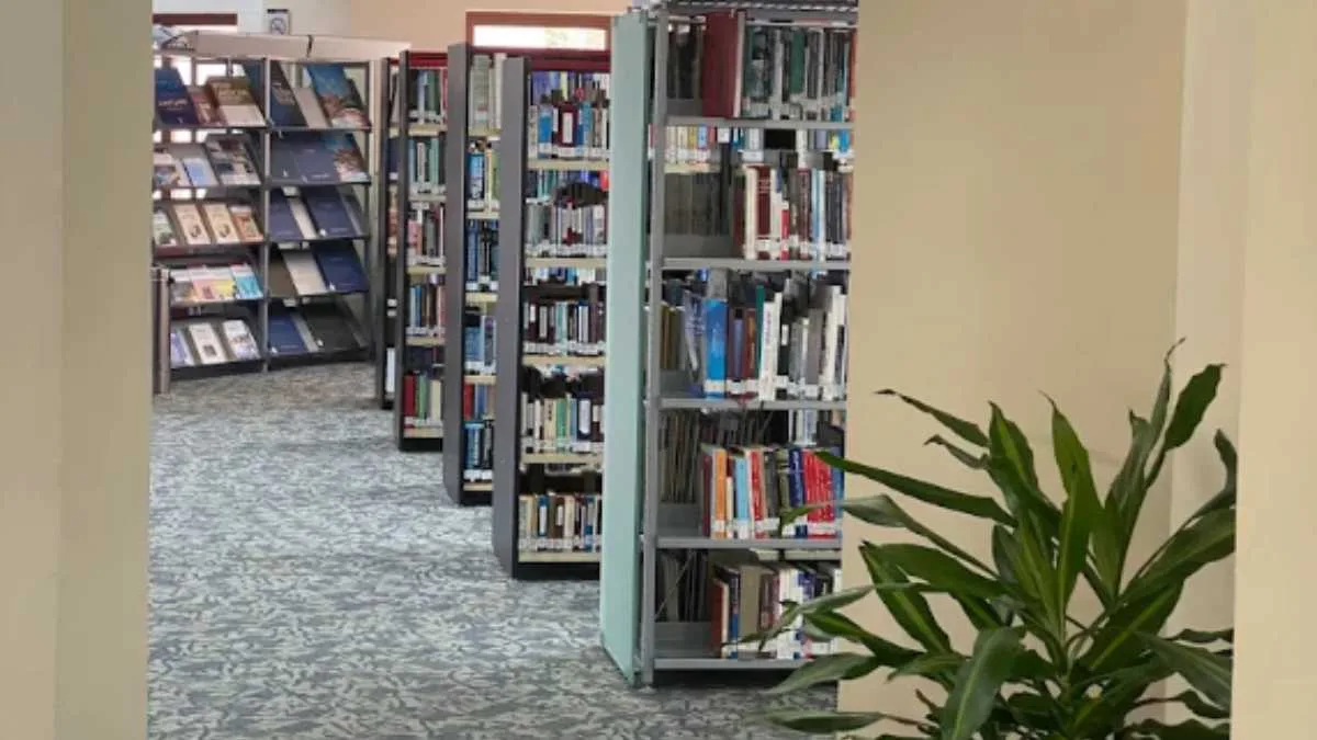 Best Libraries to Study in Dubai