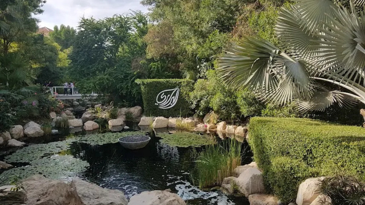 Organic & Family-Friendly Brunch Venues in Dubai