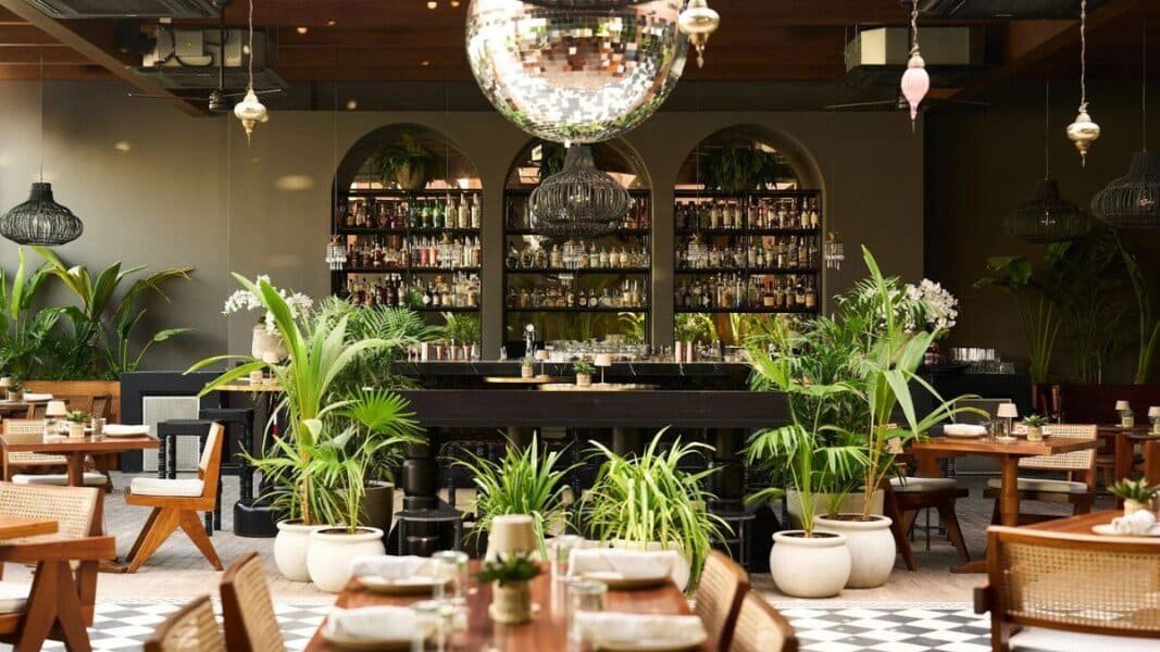 Gitano Dubai jungle roof