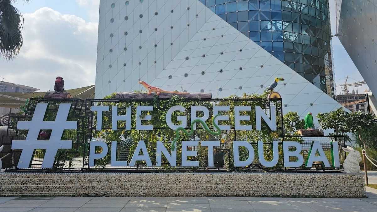 Toddler-Friendly Play Areas in Dubai