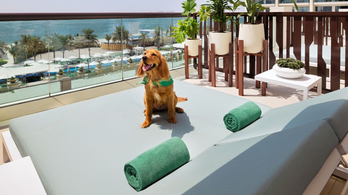 Pet-friendly hotel in Dubai