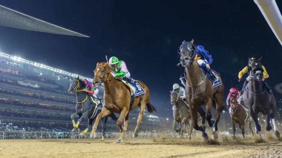 Dubai World cup 2026 tickets