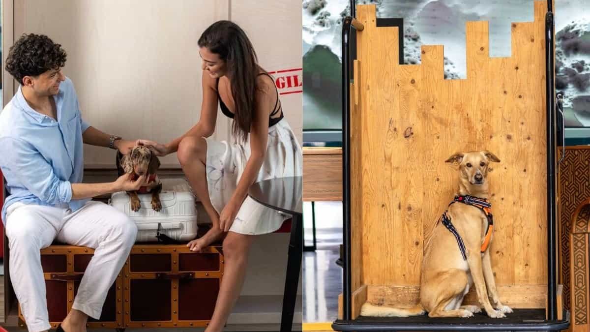 Pet-Friendly Stay at Hotel Indigo Dubai Downtown