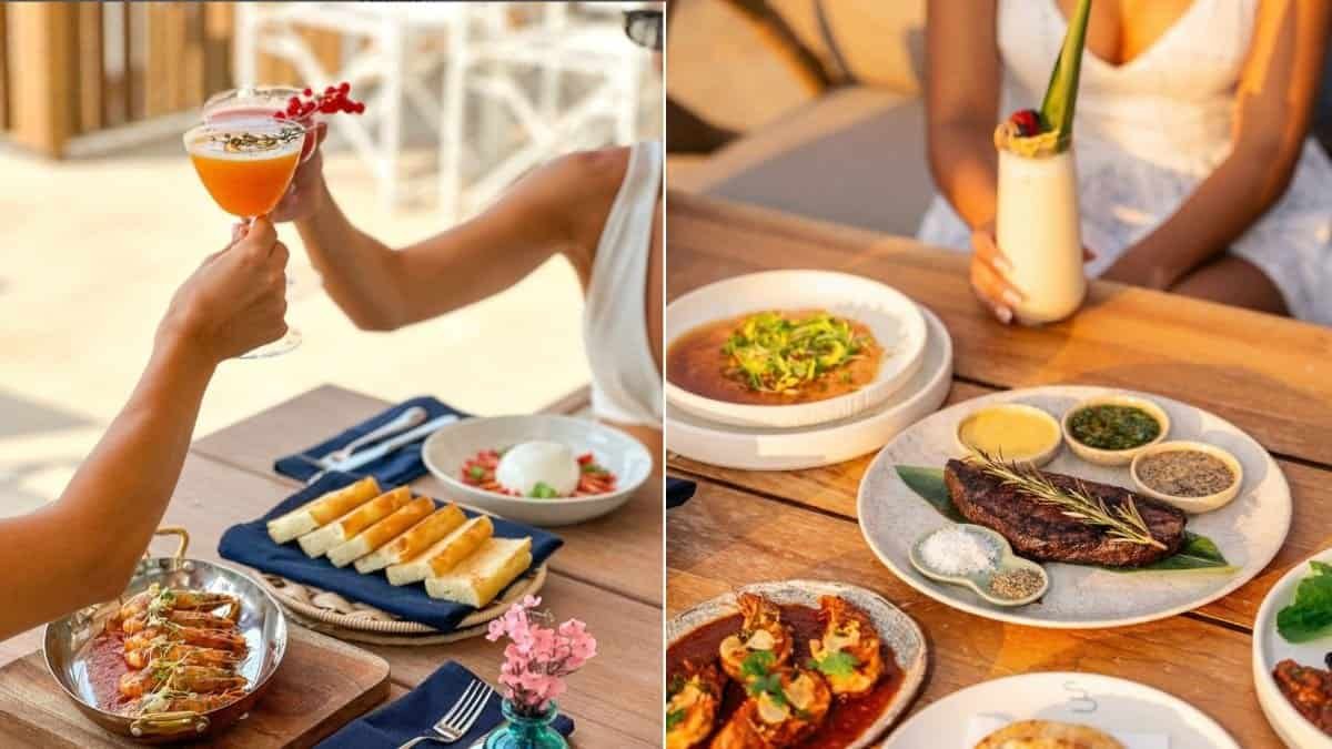 cove beach food experience