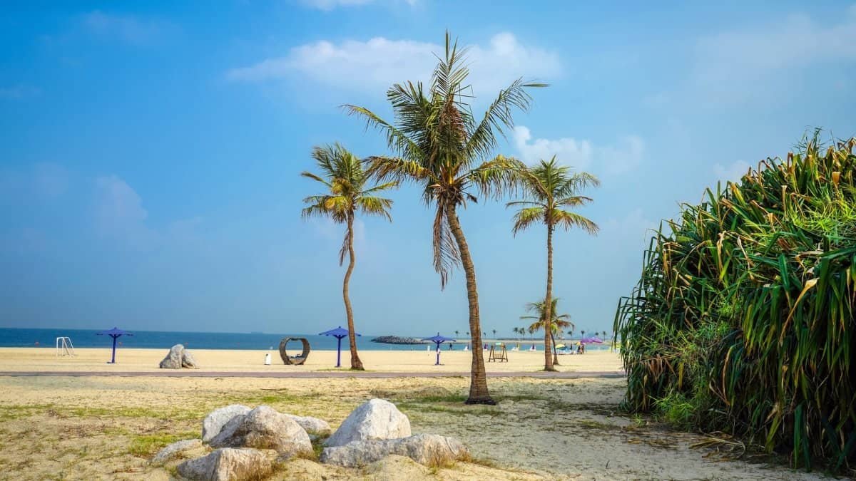 Dubai T100 Triathlon at al mamzar beach dubai