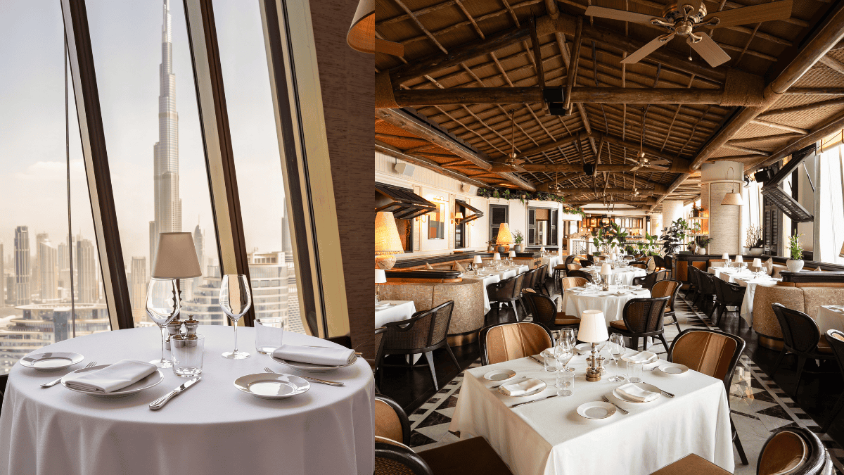 Lion in the sun dubai reopens on 25th September
