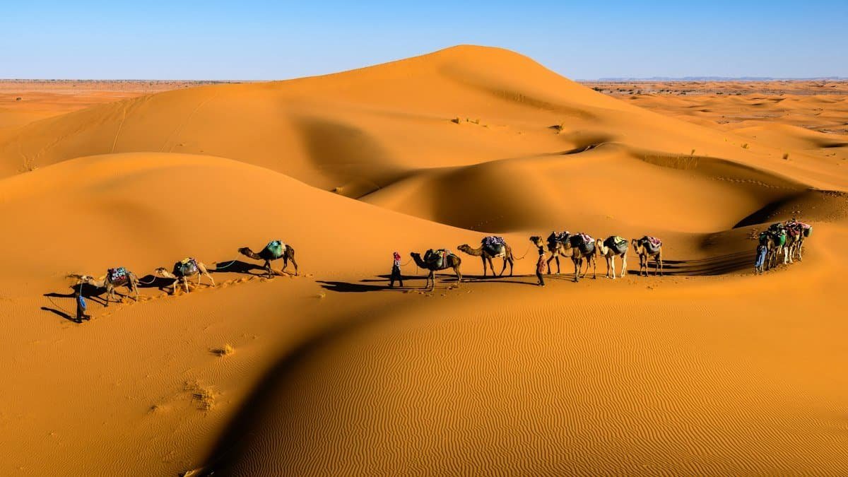 A line of camels and riders crossing sweeping golden sand dunes under a clear sky